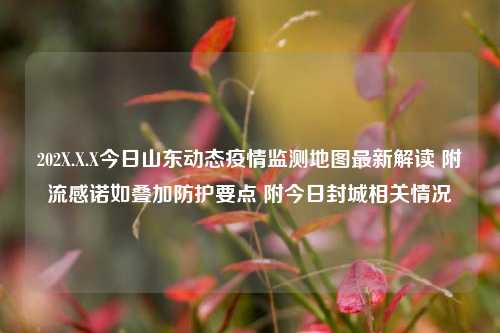 202X.X.X今日山东动态疫情监测地图最新解读 附流感诺如叠加防护要点 附今日封城相关情况