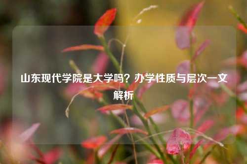山东现代学院是大学吗？办学性质与层次一文解析