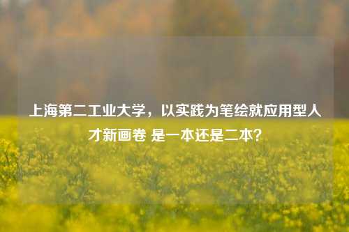 上海第二工业大学,以实践为笔绘就应用型人才新画卷 是一本还是二本?