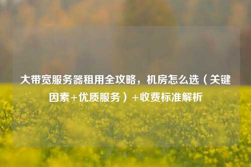 大带宽服务器租用全攻略，机房怎么选（关键因素+优质服务）+收费标准解析
