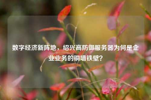 数字经济新阵地，绍兴高防御服务器为何是企业业务的铜墙铁壁？