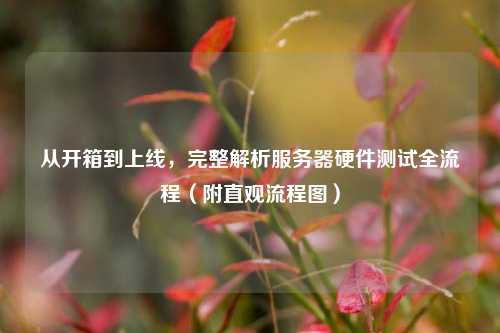 从开箱到上线,完整解析服务器硬件测试全流程(附直观流程图)