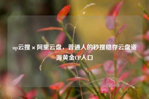 up云搜×阿里云盘，普通人的秒搜稳存云盘资源黄金CP入口