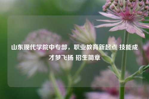山东现代学院中专部，职业教育新起点 技能成才梦飞扬 招生简章