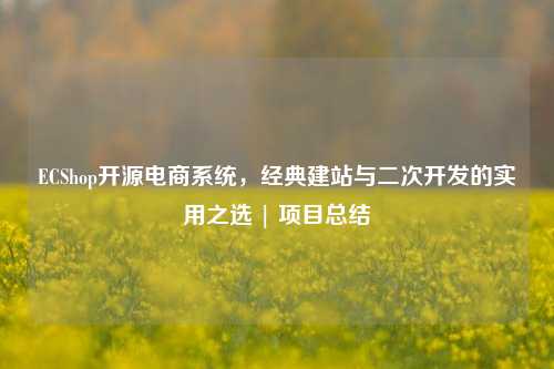 ECShop开源电商系统,经典建站与二次开发的实用之选 | 项目总结