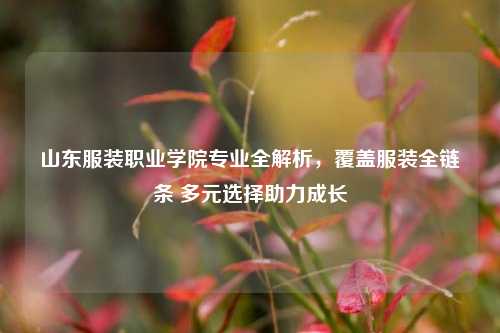 山东服装职业学院专业全解析，覆盖服装全链条 多元选择助力成长