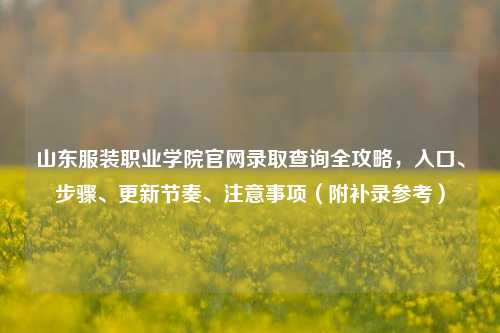 山东服装职业学院官网录取查询全攻略,入口、步骤、更新节奏、注意事项(附补录参考)