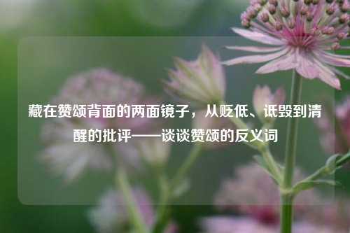 藏在赞颂背面的两面镜子,从贬低、诋毁到清醒的批评——谈谈赞颂的反义词