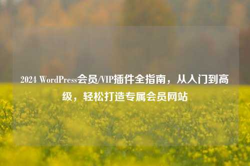 2024 WordPress会员/VIP插件全指南,从入门到高级,轻松打造专属会员网站