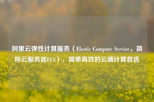 阿里云弹性计算服务(Elastic Compute Service,简称云服务器ECS),简单高效的云端计算首选