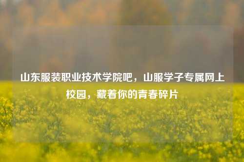 山东服装职业技术学院吧,山服学子专属网上校园,藏着你的青春碎片