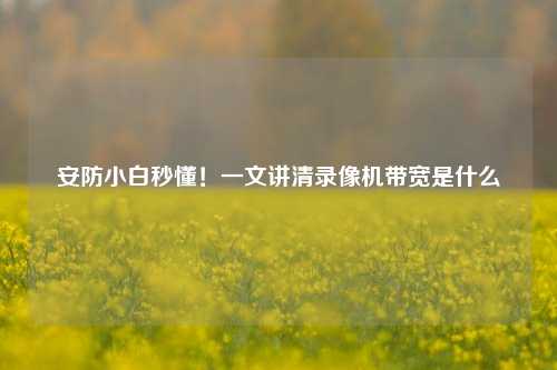 安防小白秒懂!一文讲清录像机带宽是什么