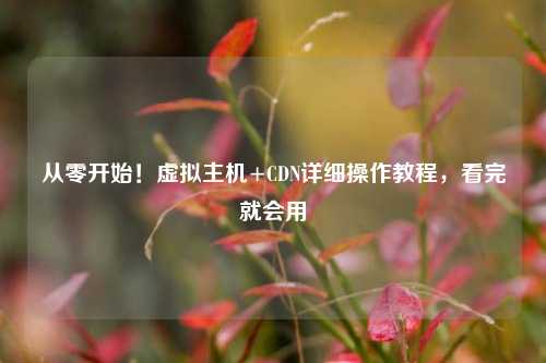 从零开始！虚拟主机+CDN详细操作教程，看完就会用