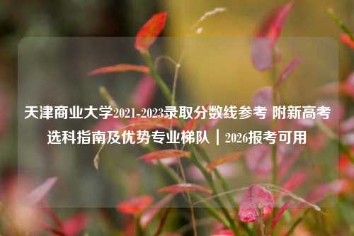 天津商业大学2021-2023录取分数线参考 附新高考选科指南及优势专业梯队|2026报考可用