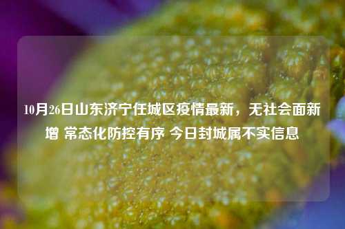10月26日山东济宁任城区疫情最新,无社会面新增 常态化防控有序 今日封城属不实信息