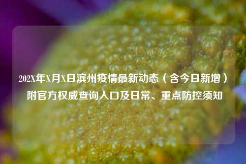 202X年X月X日滨州疫情最新动态（含今日新增） 附官方权威查询入口及日常、重点防控须知