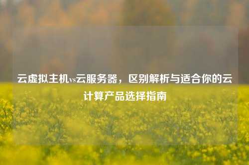 云虚拟主机vs云服务器，区别解析与适合你的云计算产品选择指南