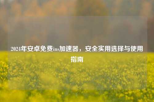 2024年安卓免费ins加速器,安全实用选择与使用指南