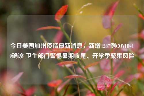 今日美国加州疫情最新消息,新增1287例COVID-19确诊 卫生部门警惕暑期收尾、开学季聚集风险