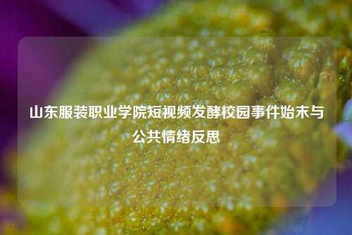 山东服装职业学院短视频发酵校园事件始末与公共情绪反思