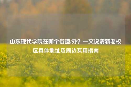山东现代学院在哪个街道/办？一文说清新老校区具体地址及周边实用指南