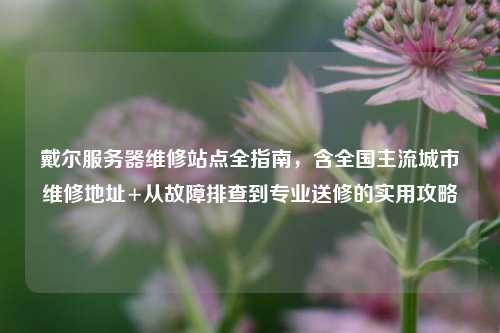 戴尔服务器维修站点全指南,含全国主流城市维修地址+从故障排查到专业送修的实用攻略