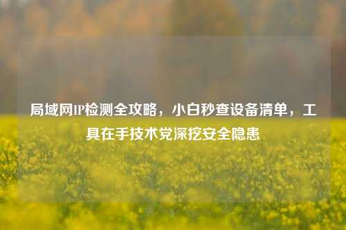局域网IP检测全攻略,小白秒查设备清单,工具在手技术党深挖安全隐患