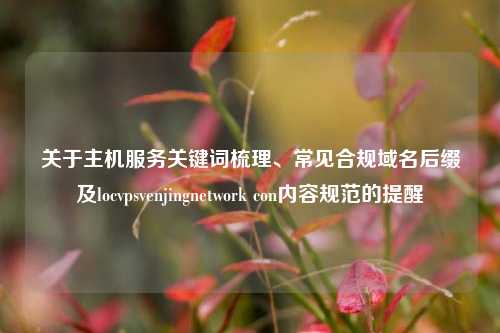 关于主机服务关键词梳理、常见合规域名后缀及locvpsvenjingnetwork con内容规范的提醒