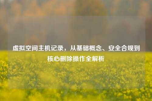 虚拟空间主机记录，从基础概念、安全合规到核心删除操作全解析
