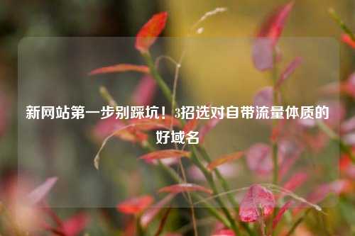 新网站第一步别踩坑!3招选对自带流量体质的好域名