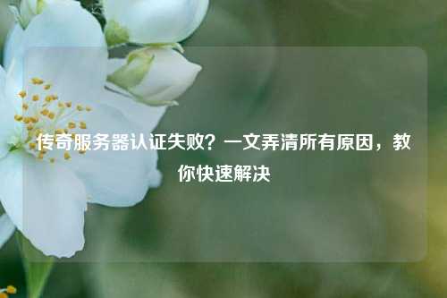 传奇服务器认证失败?一文弄清所有原因,教你快速解决