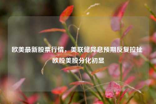 欧美最新股票行情,美联储降息预期反复拉扯 欧股美股分化初显