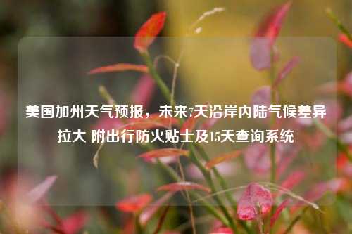 美国加州天气预报,未来7天沿岸内陆气候差异拉大 附出行防火贴士及15天查询系统