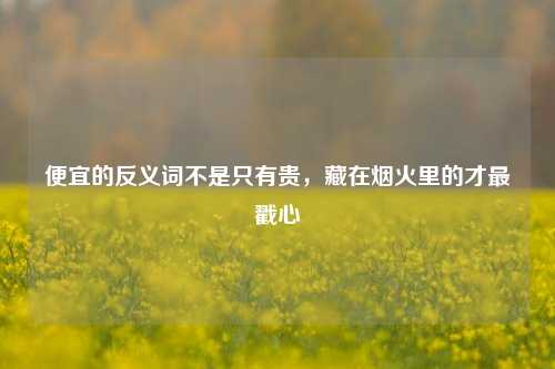 便宜的反义词不是只有贵,藏在烟火里的才最戳心