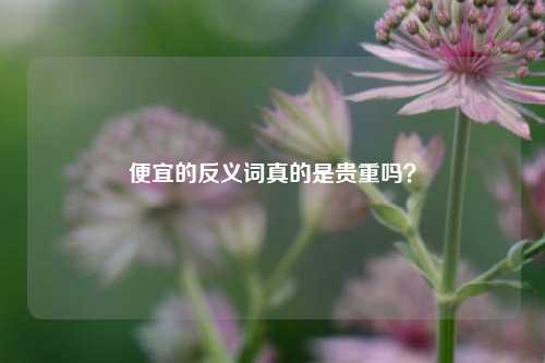 便宜的反义词真的是贵重吗?