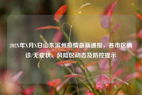 202X年X月X日山东滨州疫情最新通报，各市区确诊/无症状、风险区动态及防控提示