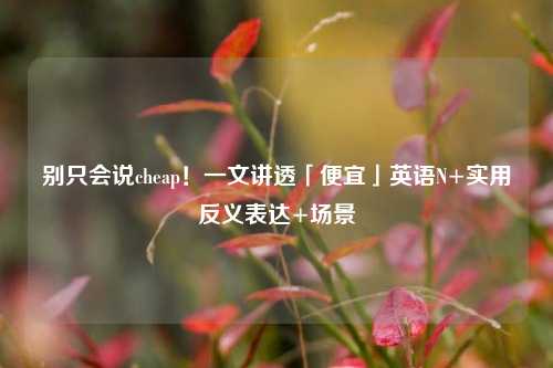 别只会说cheap！一文讲透「便宜」英语N+实用反义表达+场景