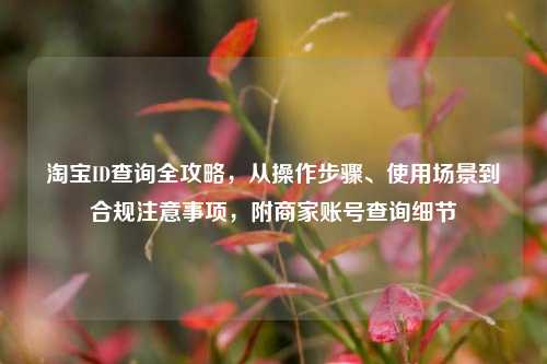 淘宝ID查询全攻略,从操作步骤、使用场景到合规注意事项,附商家账号查询细节