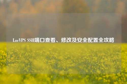 LocVPS SSH端口查看、修改及安全配置全攻略