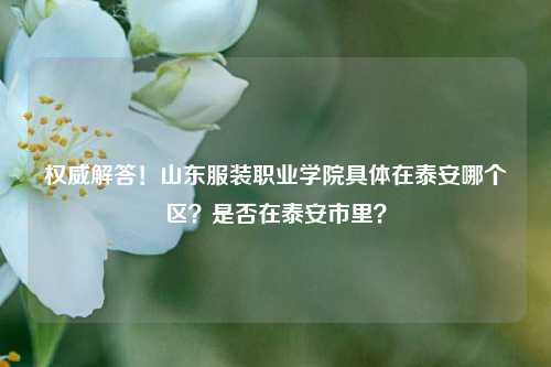 权威解答！山东服装职业学院具体在泰安哪个区？是否在泰安市里？
