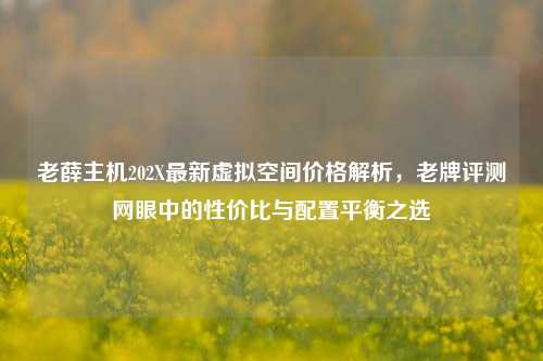 老薛主机202X最新虚拟空间价格解析,老牌评测网眼中的性价比与配置平衡之选