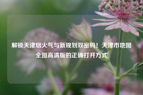 解锁天津烟火气与新规划双密码!天津市地图全图高清版的正确打开方式