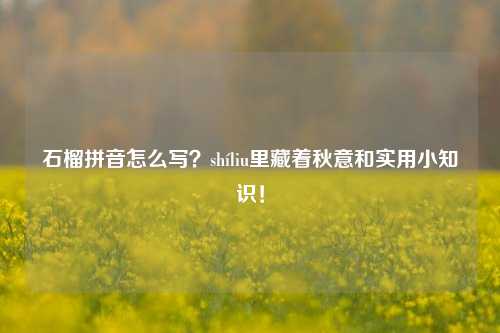 石榴拼音怎么写?shíliu里藏着秋意和实用小知识!