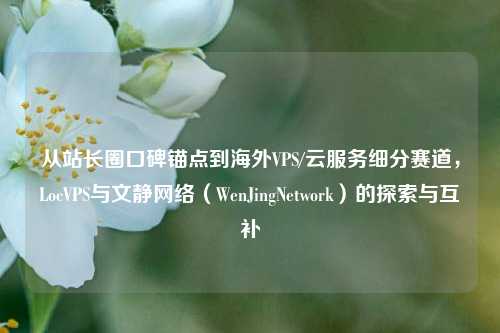 从站长圈口碑锚点到海外VPS/云服务细分赛道，LocVPS与文静网络（WenJingNetwork）的探索与互补