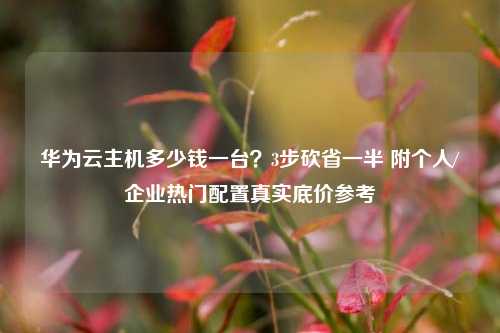 华为云主机多少钱一台?3步砍省一半 附个人/企业热门配置真实底价参考