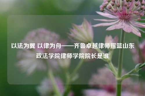 以法为翼 以律为舟——齐鲁卓越律师摇篮山东政法学院律师学院院长是谁