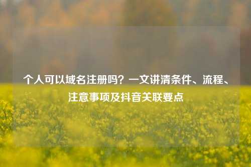 个人可以域名注册吗？一文讲清条件、流程、注意事项及抖音关联要点