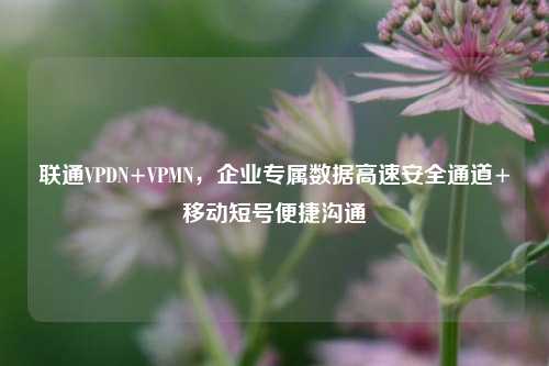 联通VPDN+VPMN,企业专属数据高速安全通道+移动短号便捷沟通