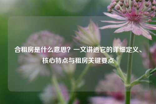 合租房是什么意思?一文讲透它的详细定义、核心特点与租房关键要点