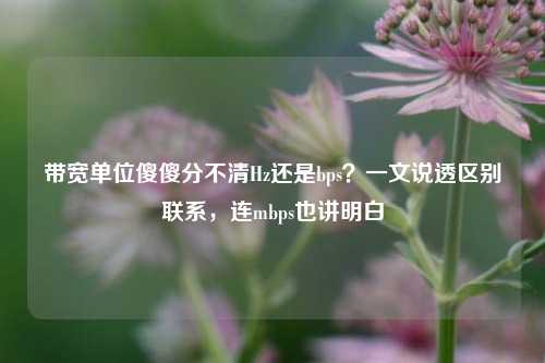 带宽单位傻傻分不清Hz还是bps?一文说透区别联系,连mbps也讲明白